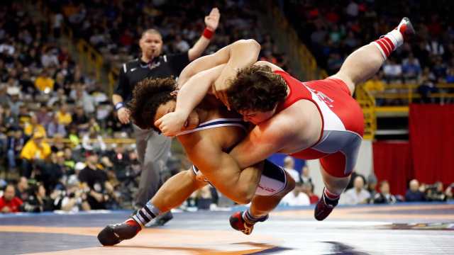 Sport Guide: All About Wrestling Screenshot